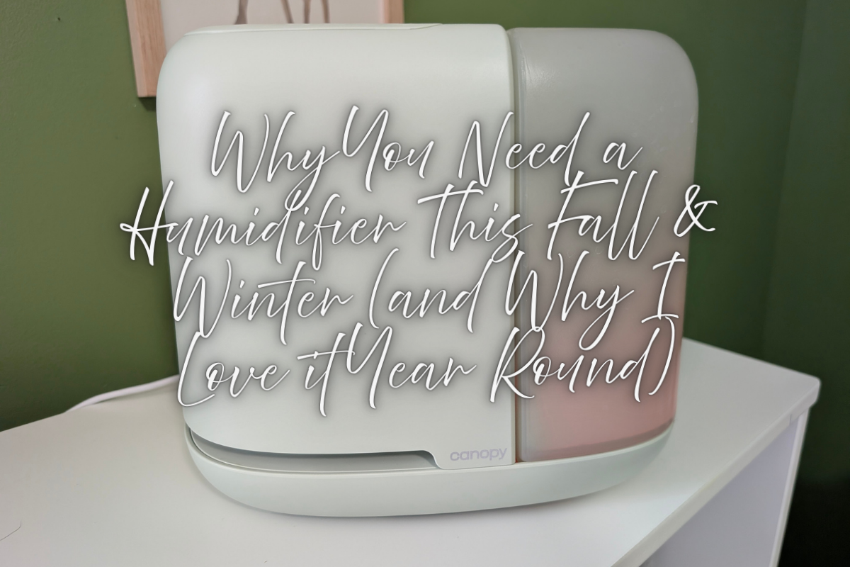 Why You Need a Humidifier This Fall & Winter (and Why I Love it Year Round)