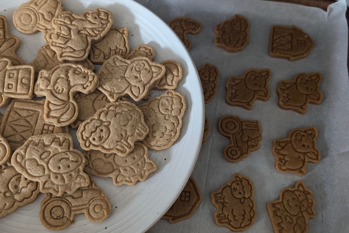 Fall Animal Cookies – Apple Pie Spice (Toddler-Friendly)